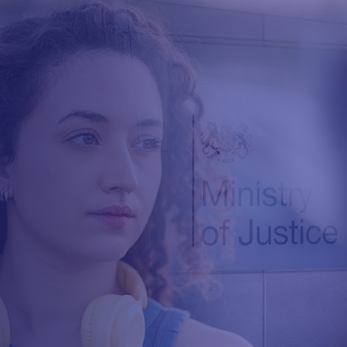 Sentencing that Reflects Harm