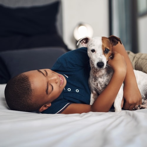 Young boy playing with dog